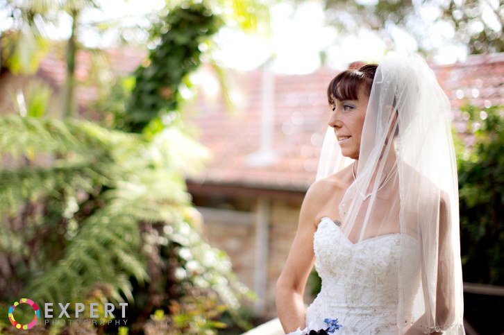 carol and david wedding montage 13