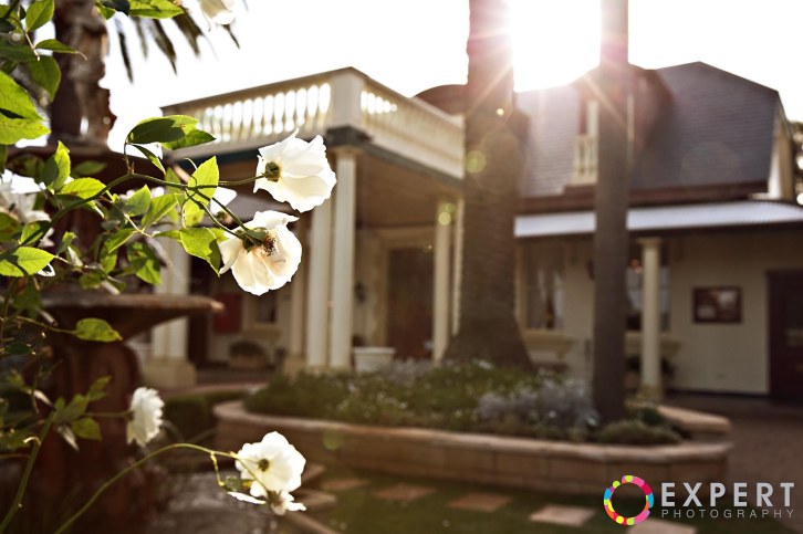 carol and david wedding montage 14