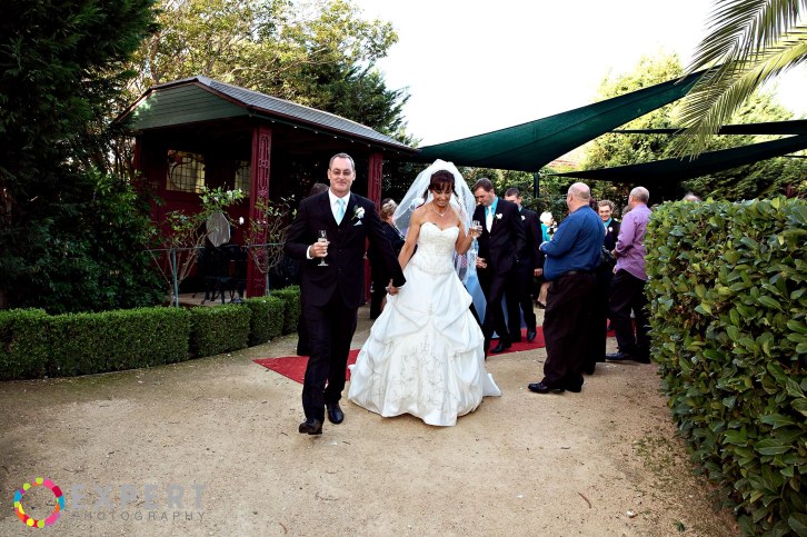 carol and david wedding montage 20