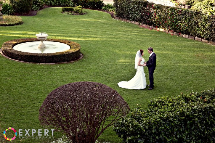 Karen and David Wedding Montage 16