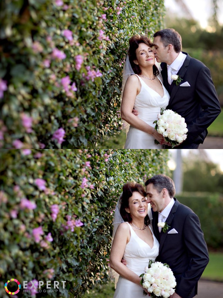 Karen and David Wedding Montage 25