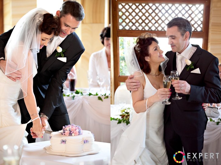 Karen and David Wedding Montage 31