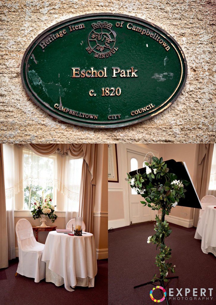 Karen and David Wedding Montage 8