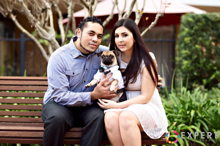 Mona and Tano pre-wedding montage 6