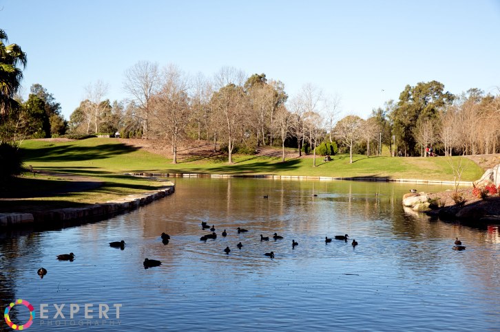 Kat-and-Anthony-pre-wedding-Montage-9