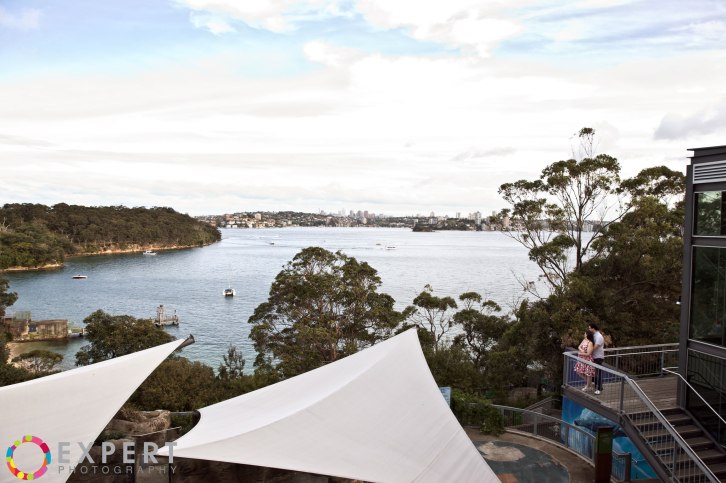 Amanda-and-Campbell-pre-wedding-montage-11