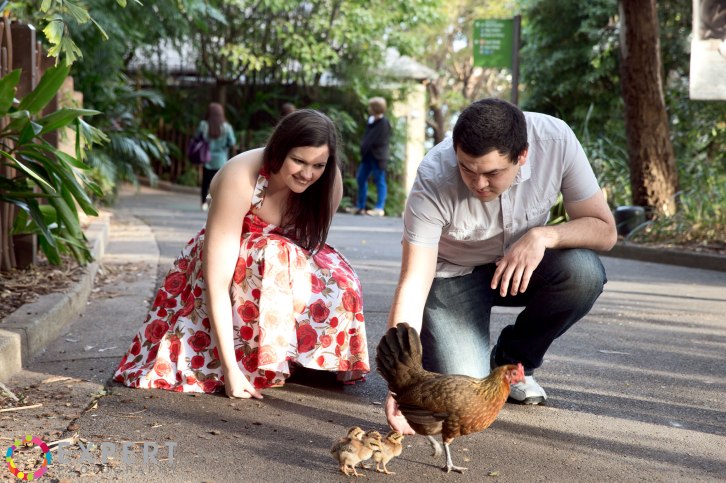 Amanda-and-Campbell-pre-wedding-montage-12