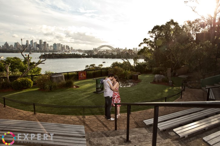 Amanda-and-Campbell-pre-wedding-montage-14