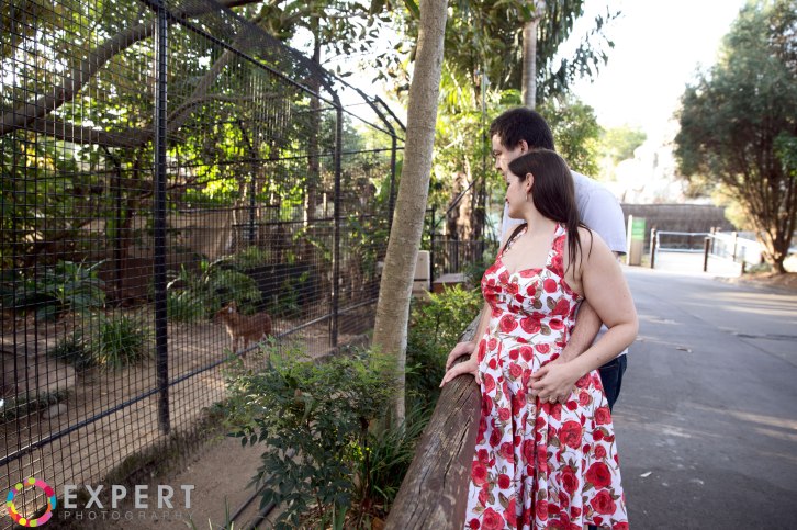 Amanda-and-Campbell-pre-wedding-montage-16