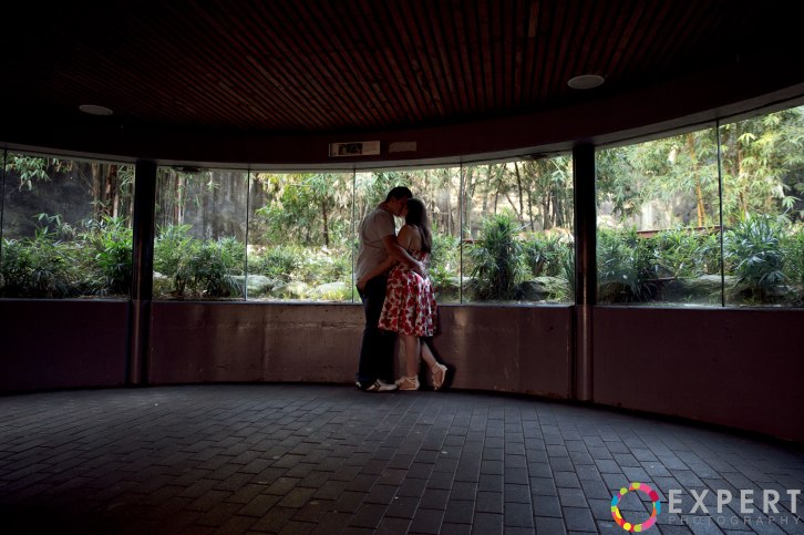 Amanda-and-Campbell-pre-wedding-montage-17