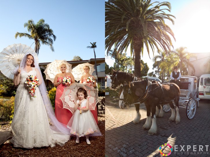 Jeni-and-Scott-Wedding-Montage-17