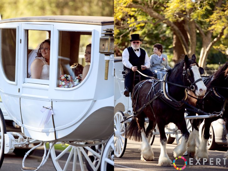 Jeni-and-Scott-Wedding-Montage-18