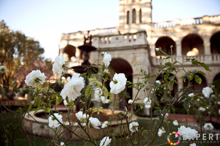 Jeni-and-Scott-Wedding-Montage-23