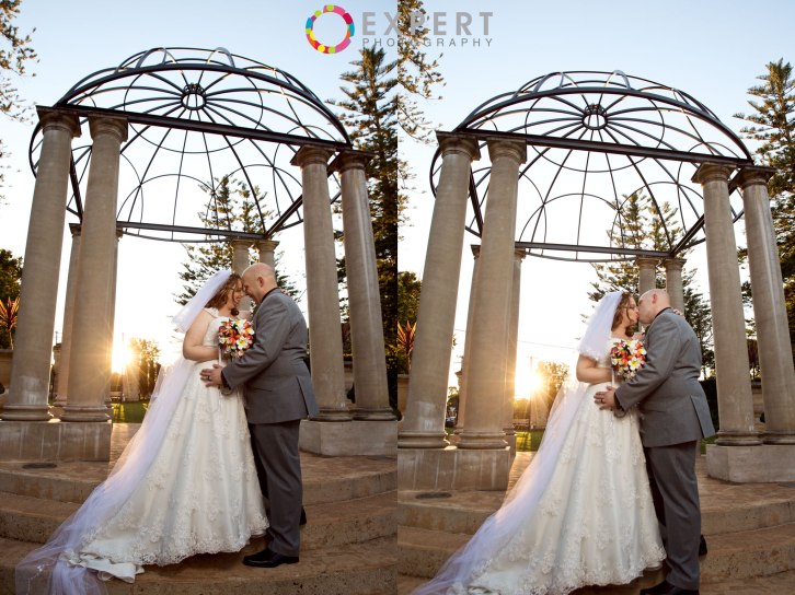 Jeni-and-Scott-Wedding-Montage-25