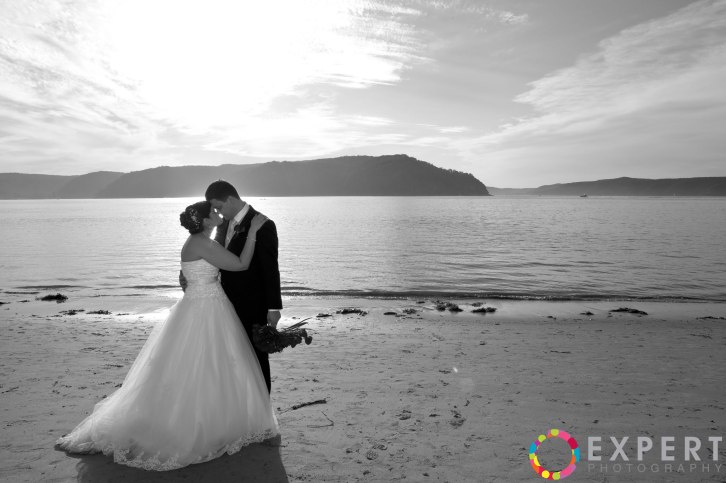 Amanda-and-Campbell-Wedding-montage-33