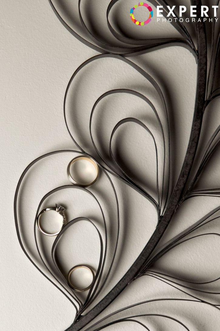 Amanda-and-Campbell-Wedding-montage-41