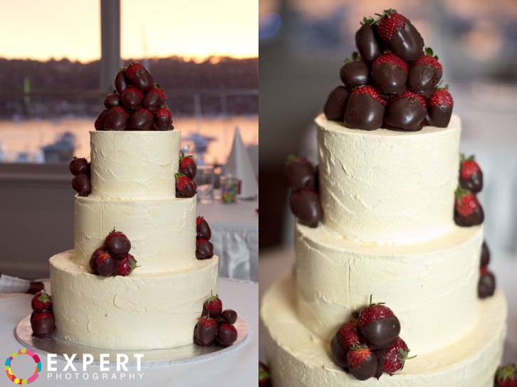 Amanda-and-Campbell-Wedding-montage-42