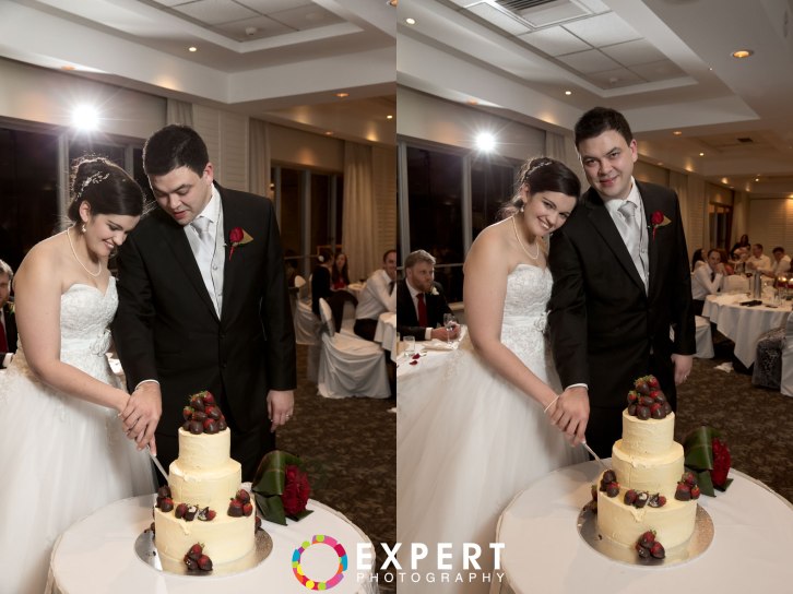 Amanda-and-Campbell-Wedding-montage-46