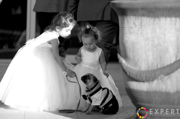 Mona-and-Tano-wedding-montage-17