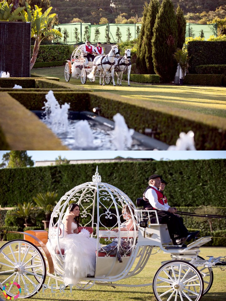 Mona-and-Tano-wedding-montage-18