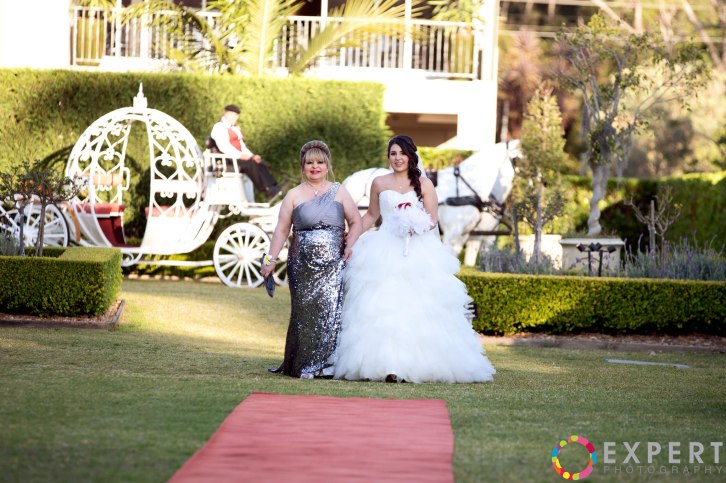 Mona-and-Tano-wedding-montage-19