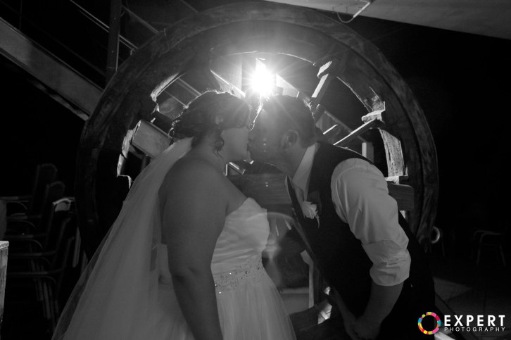 Cherie-and-Ryan-montage-36