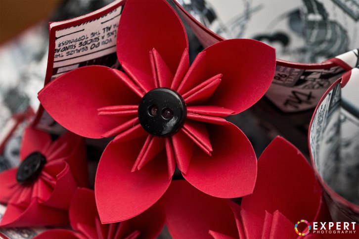 Lauren-and-Thorne-montage-2