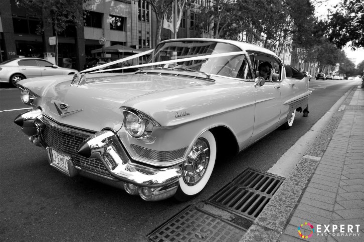 Lauren-and-Thorne-montage-21