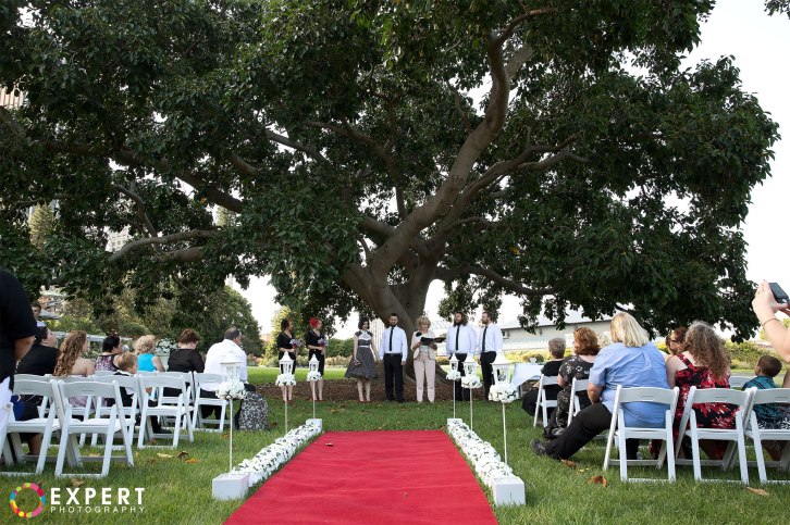 Lauren-and-Thorne-montage-25