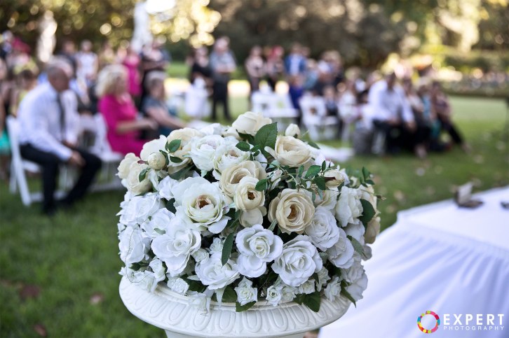 Lauren-and-Thorne-montage-26