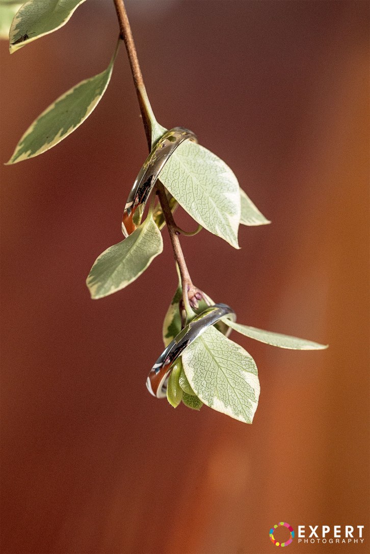 Anthony-and-Emily-wedding-montage-4