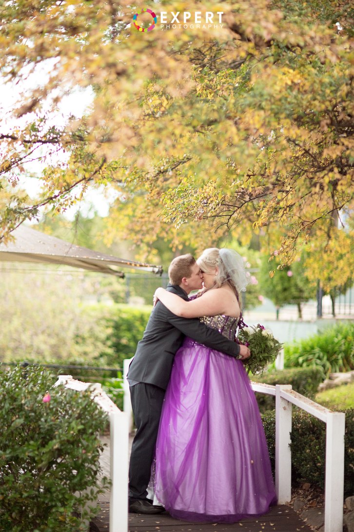 Rachael-and-Scott-wedding-montage-35