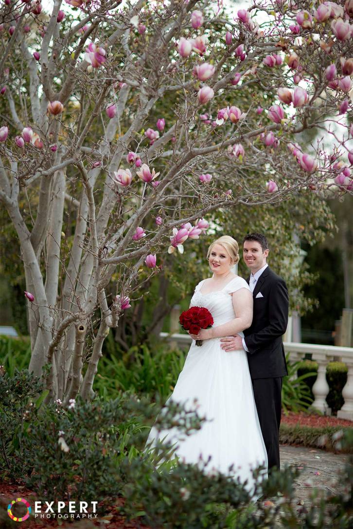 Casey-and-Glenn-wedding-montage-34