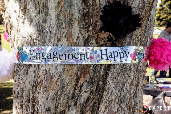 Neil-and-Wendy-engagement-montage-1