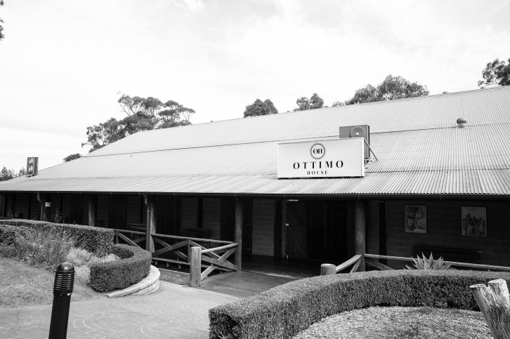 David-and-Maryann-wedding-1