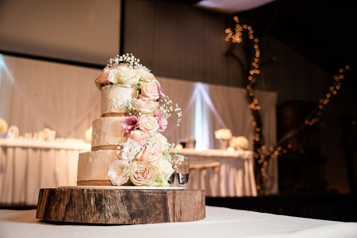 David-and-Maryann-wedding-26