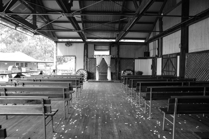 David-and-Maryann-wedding-3