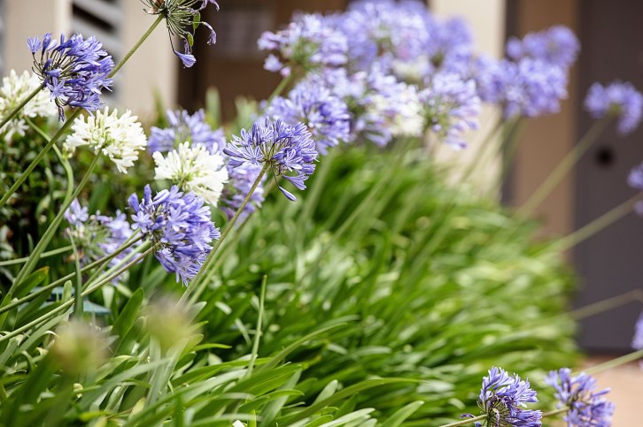 Trent-and-Carmela-11