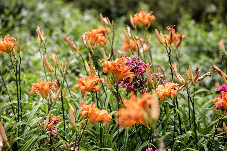 Trent-and-Carmela-12