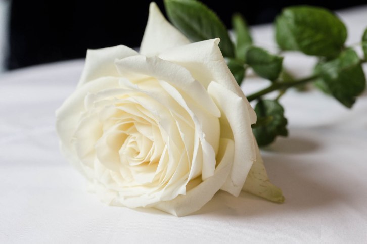 Mark and Callyn wedding-6