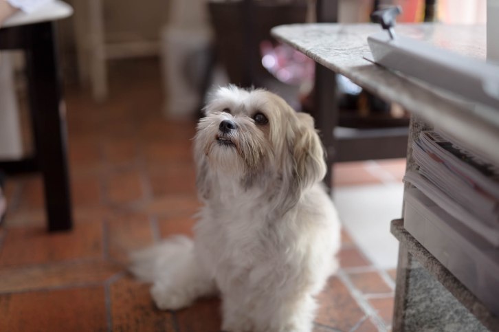 Matthew and Kerstin Wedding-32