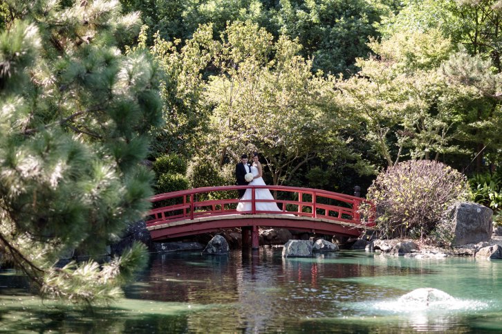 Nicholas and Kathy wedding-31