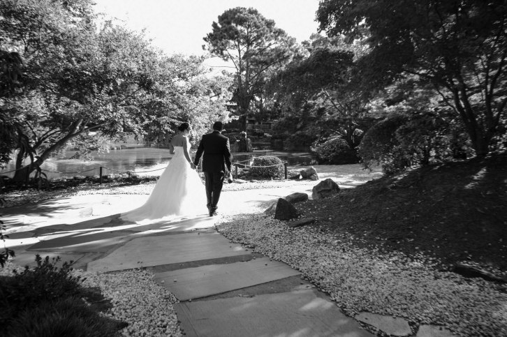 Nicholas and Kathy wedding-53