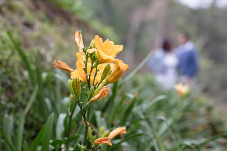 Chris and Madylene pre-wedding-22