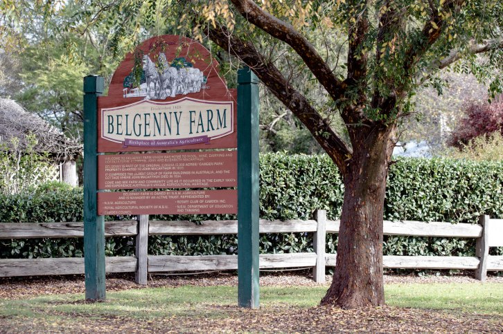 Aaron and Emily Wedding-22