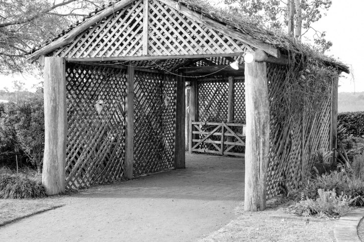 Aaron and Emily Wedding-25