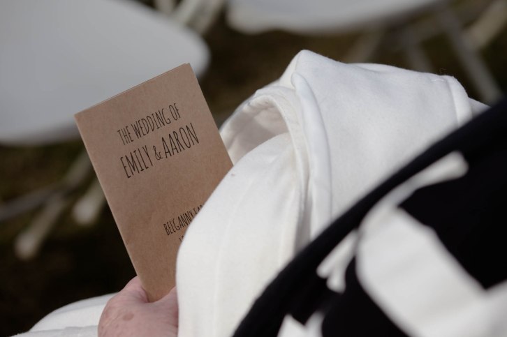 Aaron and Emily Wedding-31