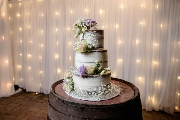 Aaron and Emily Wedding-65