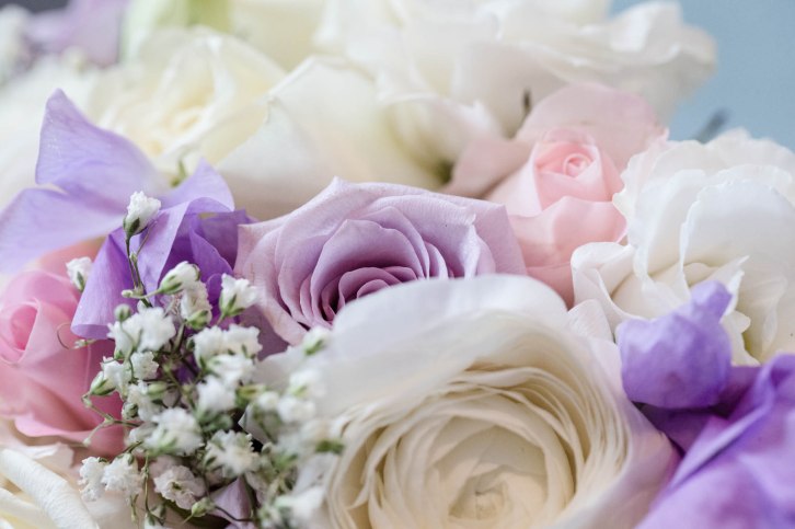 anthony-and-rosie-14